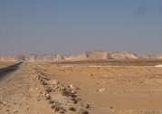 Fehér sivatag határa